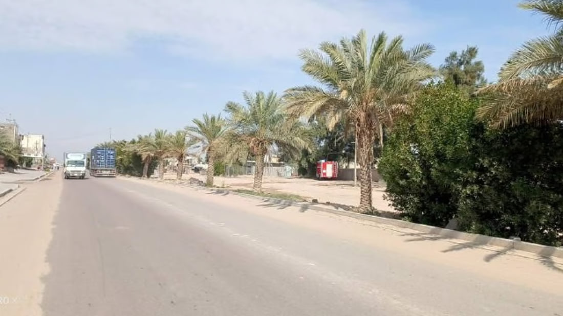 Umm Qasr launches palm tree care campaign