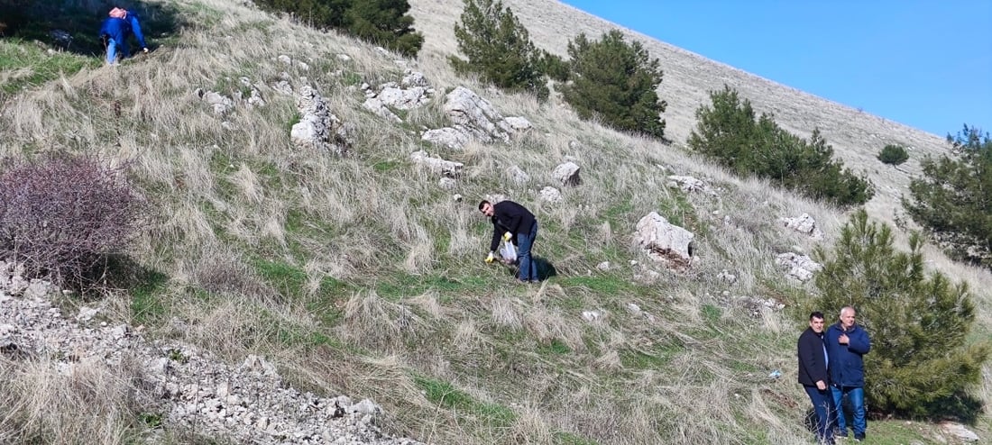 رووه‌كناسان 40 كیلۆ “به‌ڕوو”یان له‌ ئه‌زمه‌ڕ چاند