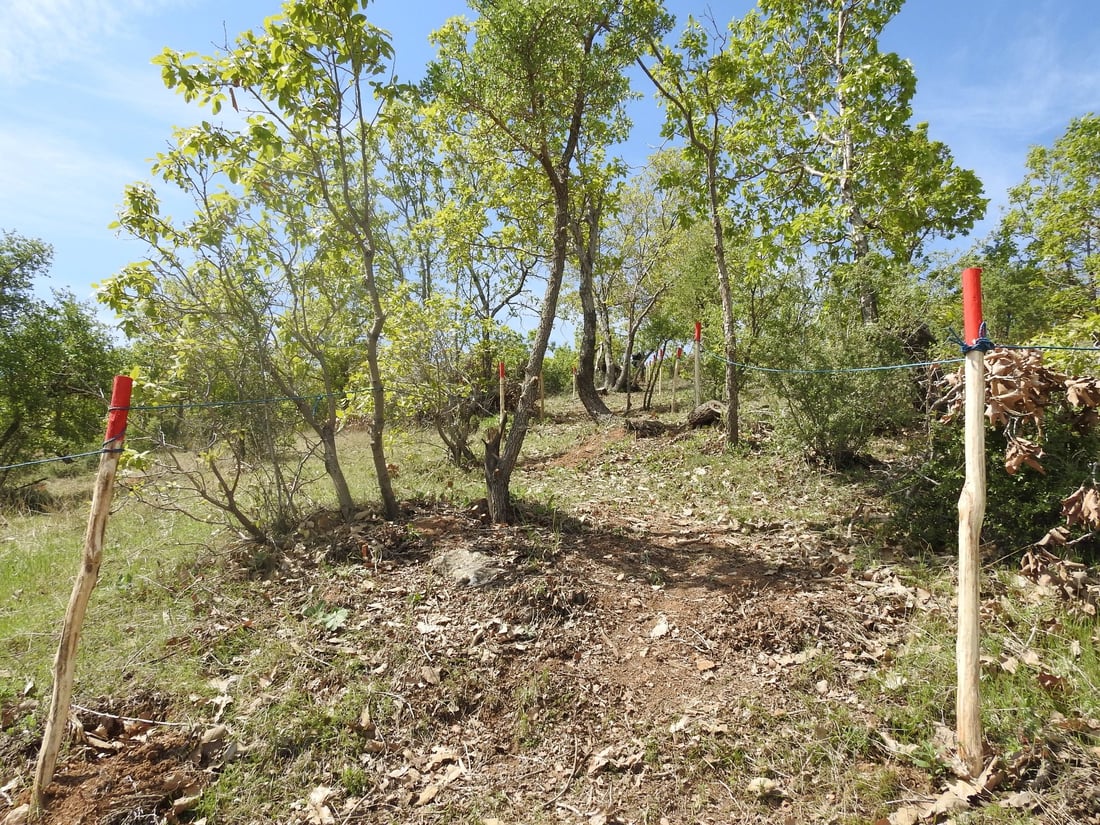 له‌ زاويته‌ ده‌ست به‌ پاككردنه‌وه‌ى زیاتر له‌ 27 دۆنم زه‌وى‌ مینڕێژكراو ده‌كرێت