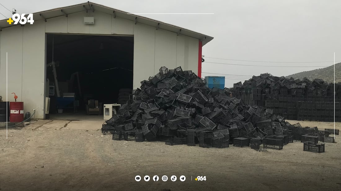 لە پێنجوێن 70 کارگە ملیۆنان سندوق ئامادە دەکەن