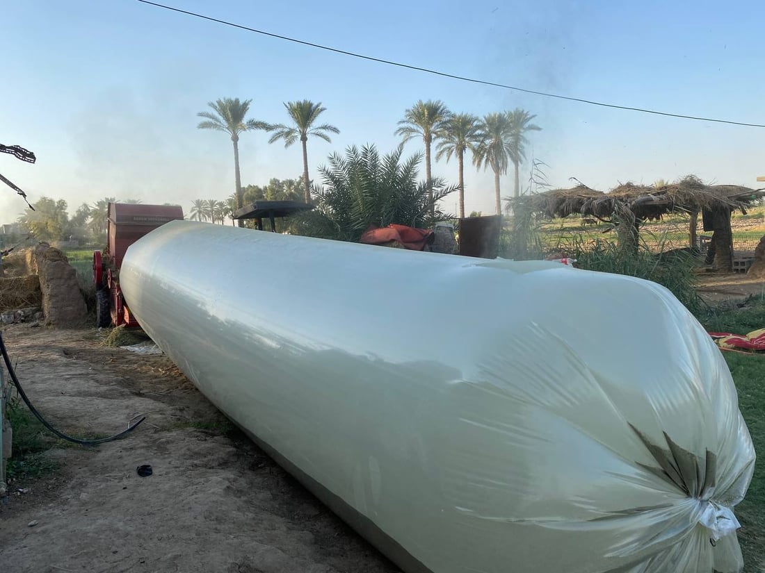 صور من مزارع أبو غريب.. اعتماد أكبر على المكائن وزيادة في البرسيم والذرة