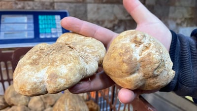 دۆمەڵانى خۆماڵى کۆنتڕۆڵى بازاڕى کردووە