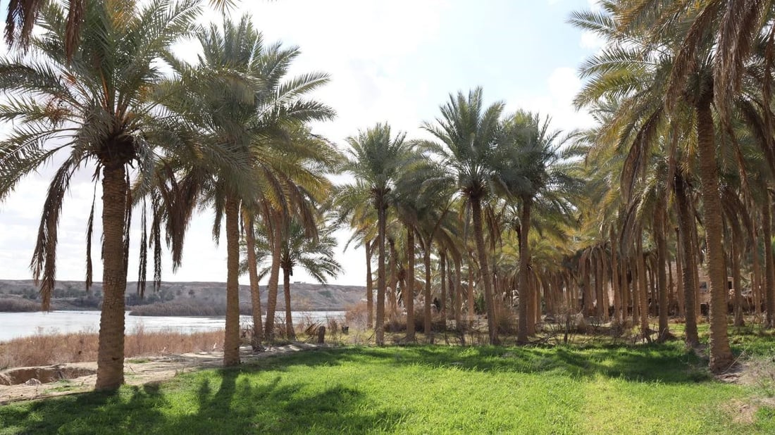 صور من الفرات: المياه انخفضت 3 م.. سد حديثة “يرشّد” الاستهلاك ويقلق المزارعين