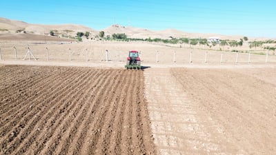 لە گەرمیان جارێ پەڵەی نەداوە و جوتیاران دەستیان بە چاندنی دانەوێڵە کردووە