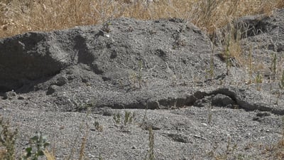 سێ برا لە پێنجوێن بە چەو و لم فریای هاوشارییەکانیان دەکەون