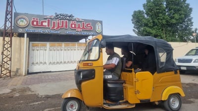 من ذي قار.. خط التكتك في الرفاعي لطلبة جامعة سومر بـ 25 ألفاً شهرياً (صور)