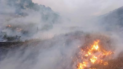 Forest fire destroys 124 acres of land in Penjwen