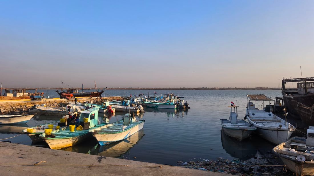 البحر يجود على البصرة.. أسعار الأسماك تهبط و”أكل الفقير” صار بألف دينار