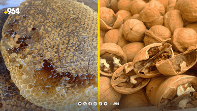 قایمقامیەتی سلێمانی دەستیگرتووە بەسەر هەنگوین و گوێزی خراپ بوو