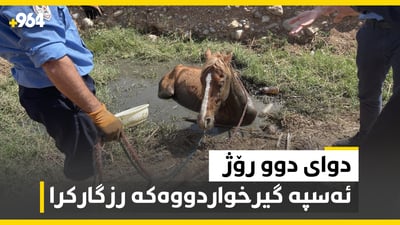 دوای دوو رۆژ ئەسپە گیرخواردووەکە رزگارکرا