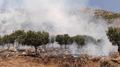 بەهۆی ئاگرێکی مێرگەپانەوە هاوڵاتیەک دەستگیر کرا