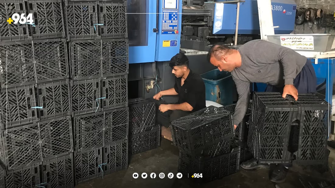 صور من بنجوين: انتاج الصناديق على مدار 24/7.. محصول هذا العام كبير جداً