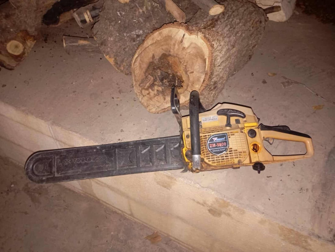 کۆمەڵێک داربەڕووی باڵابەرزی قەتڵوعام کرد؛ دەستگیر کرا