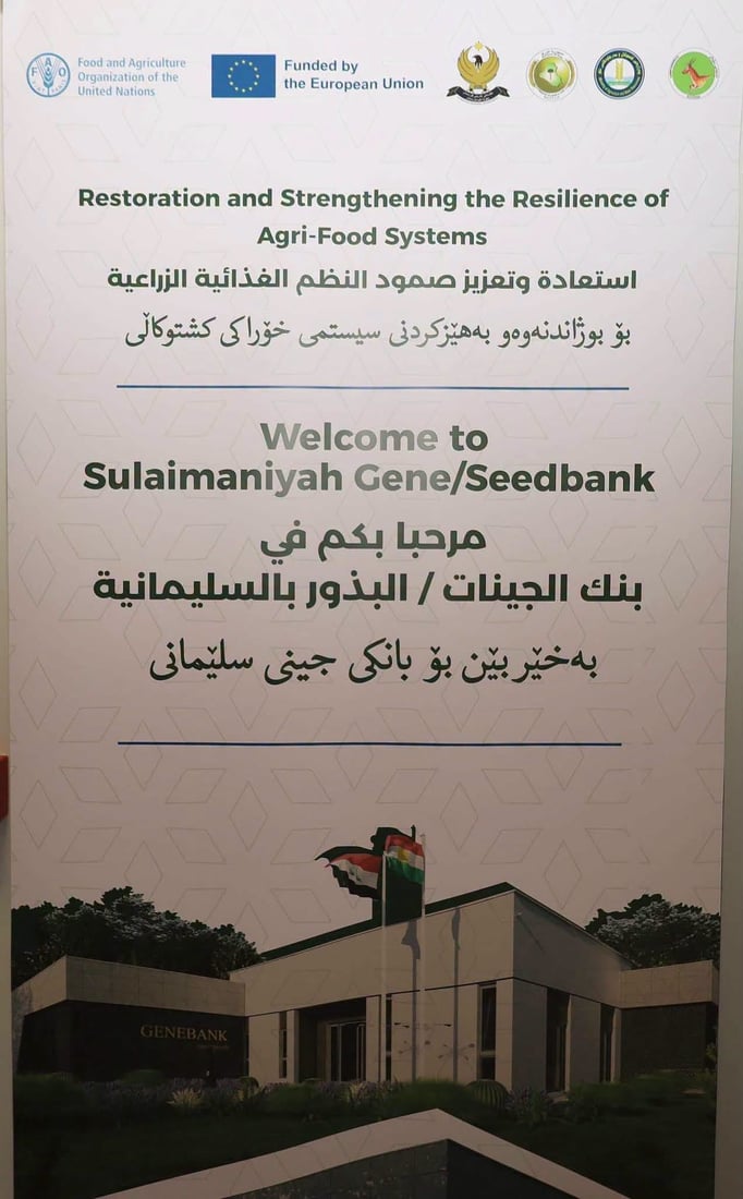 +964صورة من منصة (شبكة): 