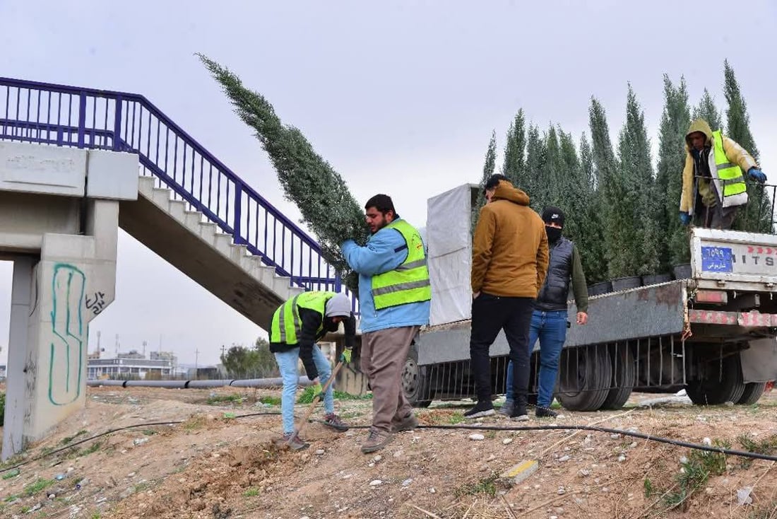 هەڵمەتێكی گەورەی دارچاندن لە هەولێر بەڕێوەیە