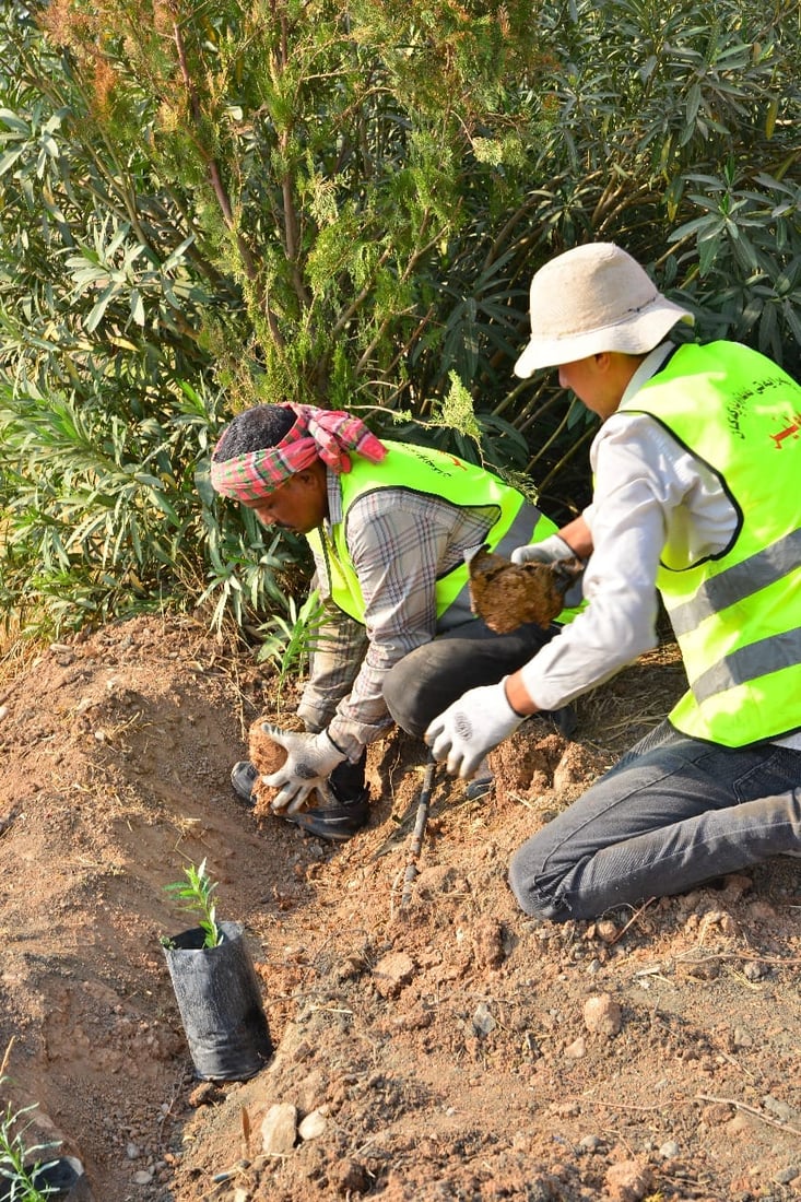 شەقامی 120 مەتری هەولێر جوان دەکرێت