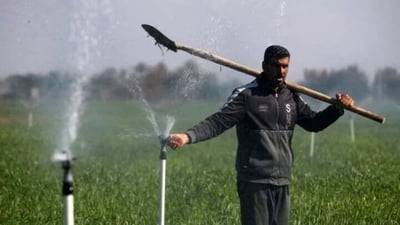 Wasit farmers urged to adopt modern irrigation systems ahead of winter season