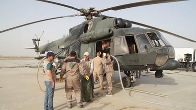 Karbala to undertake massive pesticide operation