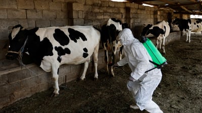 Health ministry issues eid slaughter guidelines amid rise in hemorrhagic fever cases