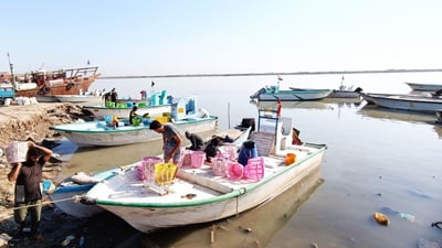 صور من مرسى النقعة.. قائمة بأسعار السمك في مزاد الفاو الصباحي لهذا اليوم