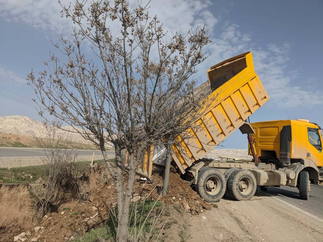 چارەسەری دەیان داری رێگای تەکیە بۆ چەمچەماڵ دەکرێت کە بەهۆی لافاوەکەوە مەترسیان لەسەربوو