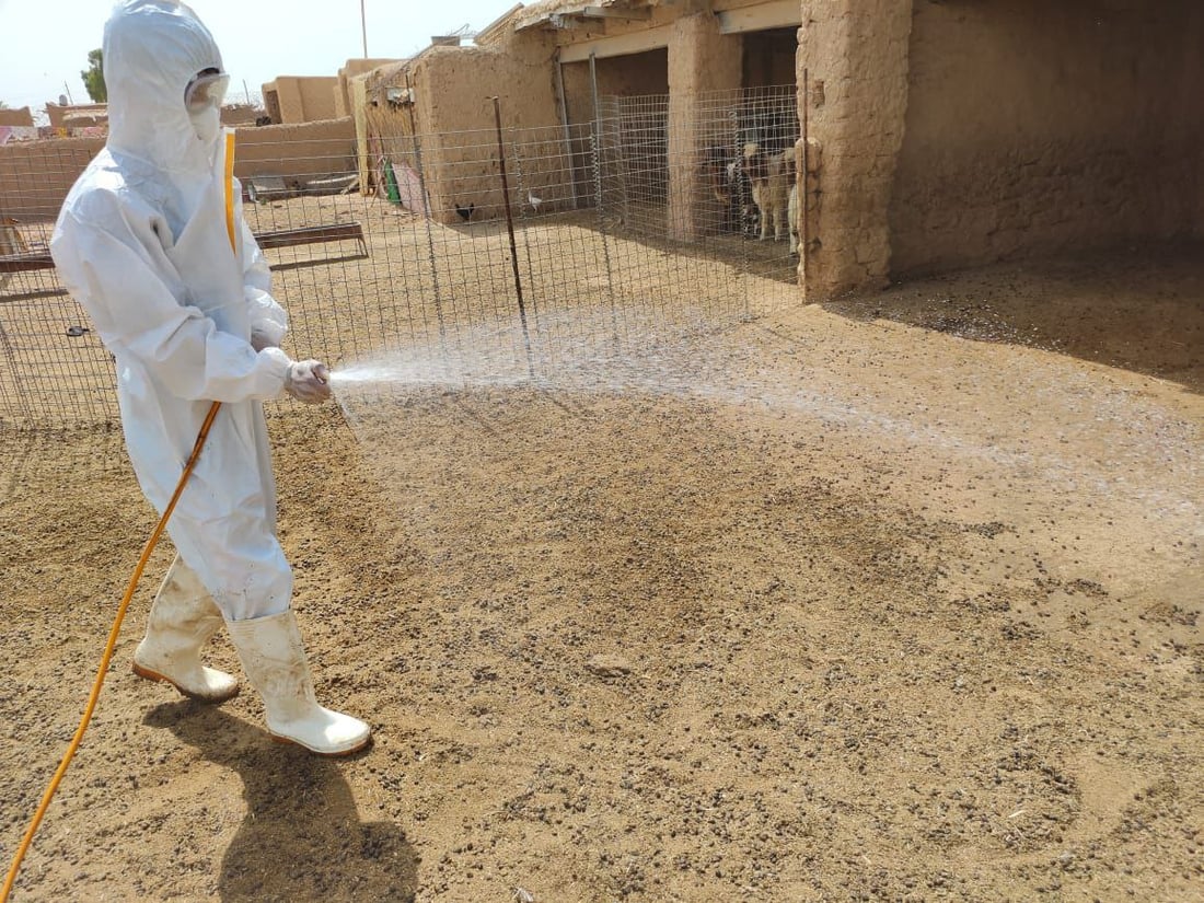 یه‌كه‌م حاڵه‌تى گیان له‌ده‌ستدان به‌هۆى تای خوێنبەربون له‌كه‌ركوك تۆمار كرا