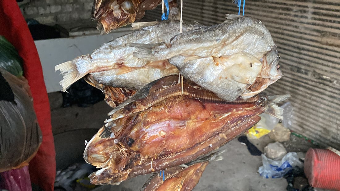 حان وقتها.. “مسموطة” أم سالم ستسافر من “هرج” إلى أمريكا وأوروبا (صور)