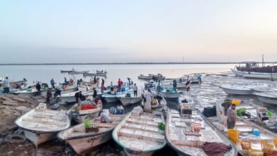 أهل بغداد لا يغادرون البصرة دون زيارة مزاد السمك.. الصبور البحري يجذب الجميع