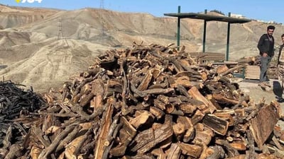 Soran authorities arrest 30 suspects this year for illegal logging