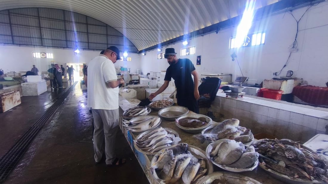 الصبور يشعل مزاد الفاو مبكراً.. الزوج 190 ألف دينار وإن لم يعجبك فالهامور والزبيدي