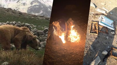 خاوه‌ن هه‌نگه‌كان له ‌ترسی ورچ به‌ پاسه‌وان سندوقه‌كانیان ده‌پارێزن‌