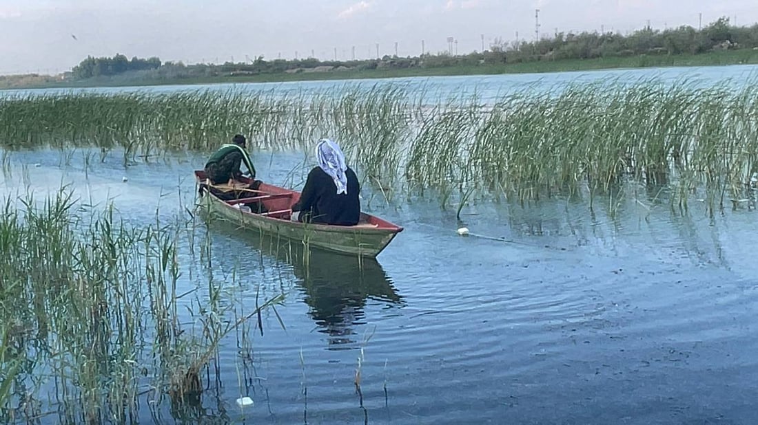 أسماك الخليج تمتنع عن دخول دجلة.. الأخطاء خربت المياه و4 فقط يحرسون أنهار البصرة