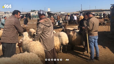 لە سەربڕخانەی هەولێر 12 ساڵە تای خوێنبەربوون تۆمار نەکراوە