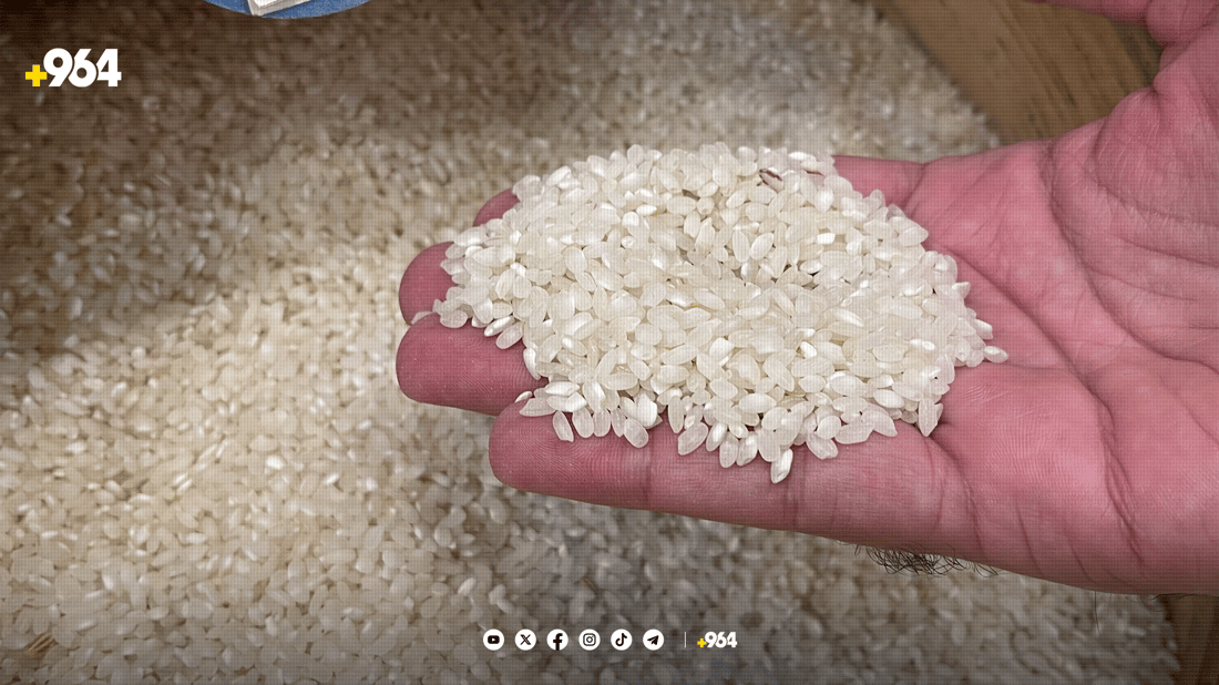 سۆراغ: ڤیدیۆی دروستکردنی برنج لە پلاستیک راست نییە