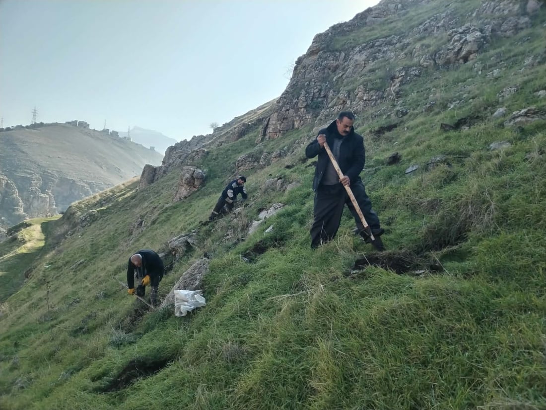 هەڵمەتی جیاجیای ژینگەیی لە سنووری قەزای دوکان بەڕێوەدەچێت