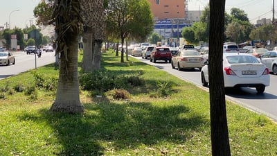 هەر پۆستەر و ریکلامێک لەسەر سەوزایی دانرابێت لادەبرێت