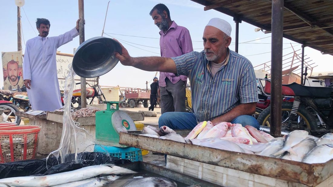 قوارب الفاو السريعة: نصيد 30 كغم سمك قرب “طبگة البحرية” و”عالي الميناء”