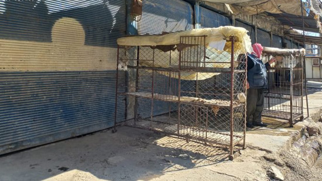 لە قامشلۆ 10 رۆژە مریشک لە بازاڕدا نەماوە