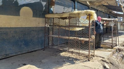 لە قامشلۆ 10 رۆژە مریشک لە بازاڕدا نەماوە