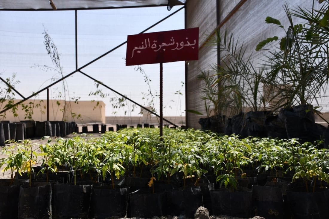 <?php echo get_the_title() ?>