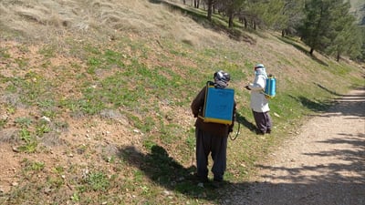 شاخى گۆیژه‌ ده‌رمانڕێژ كرا بۆ رێگرى كردن له‌ ئاگركه‌وتنه‌وه‌