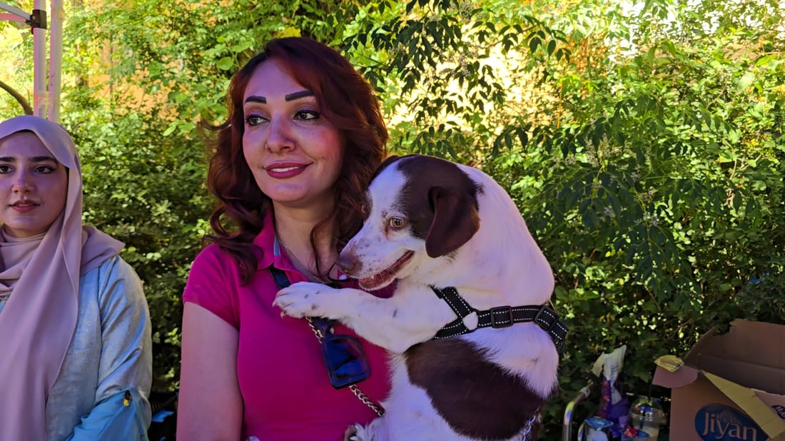 Pet hotel in Sulaymaniyah offers supervised care for cats and dogs