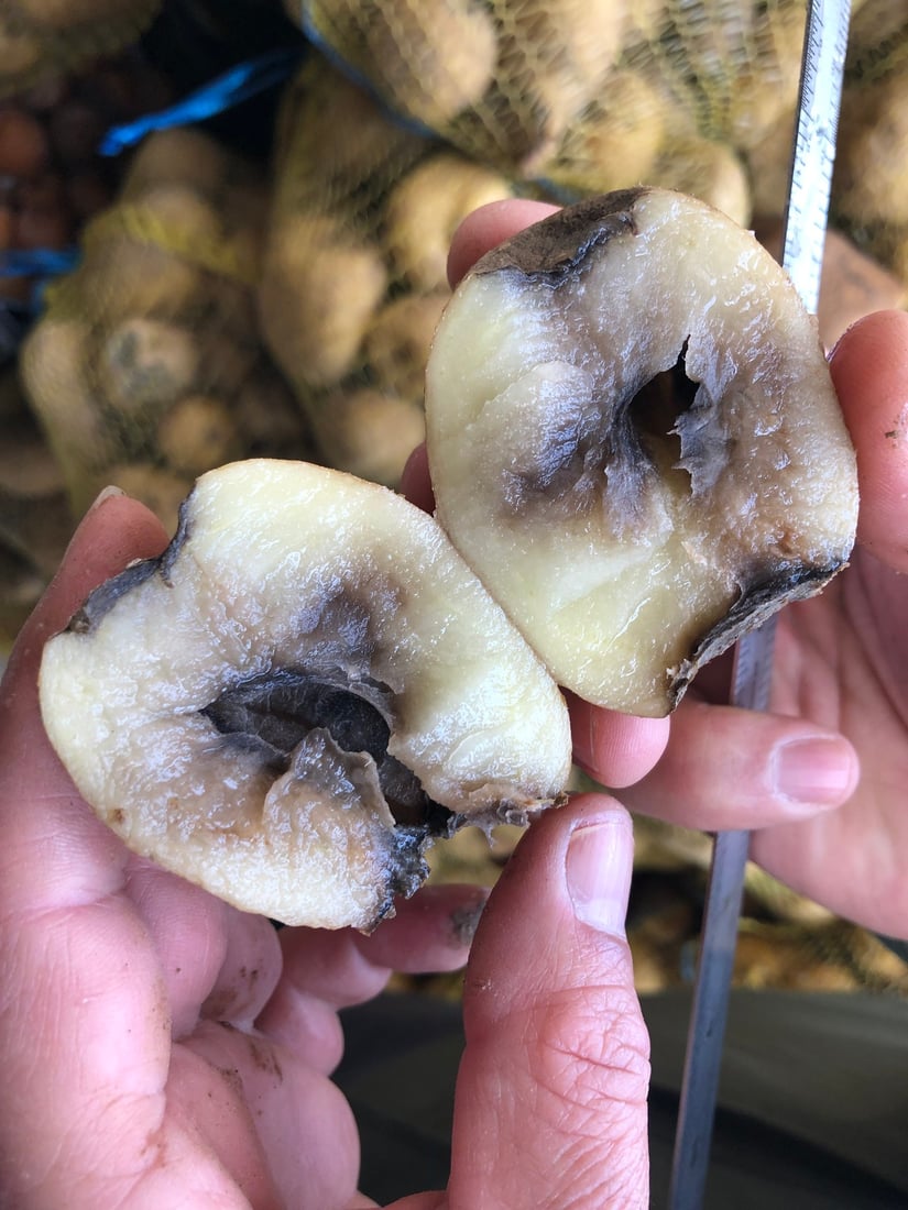 دوو تۆن و 700 کیلۆ پەتاتە و مۆز و قەیسی دەستیان بەسەرداگیرا