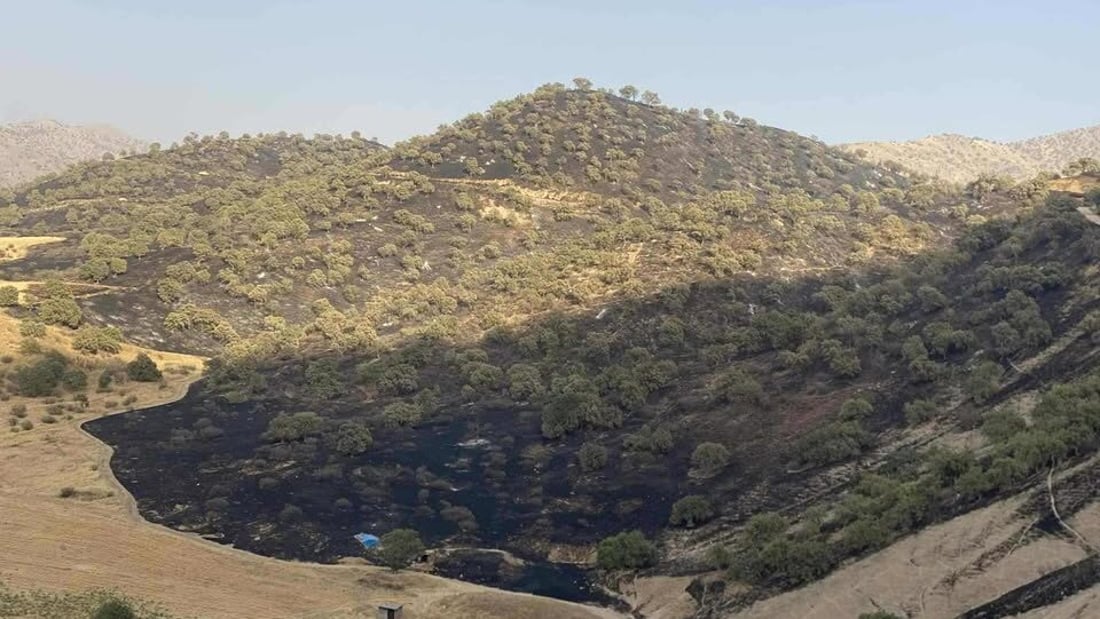 ئاگرێكی بەرفراوان لە سنوری ماوەت زیانێكی زۆری بە دارستانەكان گەیاندووە