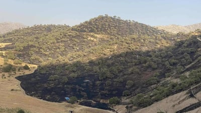 ئاگرێكی بەرفراوان لە سنوری ماوەت زیانێكی زۆری بە دارستانەكان گەیاندووە