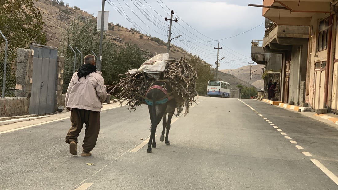 گوندنشینانی پشدەر بۆ خۆگەرمکردنەوە پەنا بۆ کۆکردنەوەی دار دەبەن 