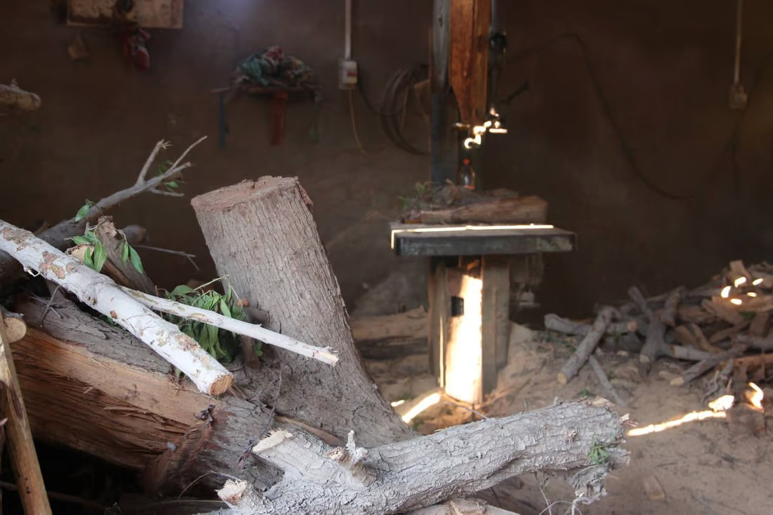 Firewood Market Flourishes in Karmat Ali Amid Winter Trips