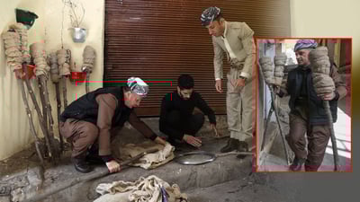 هۆشداری دەدرێت لە بڕینی دار بۆ کردنەوەی ئاگری نەورۆزی ئەمساڵ