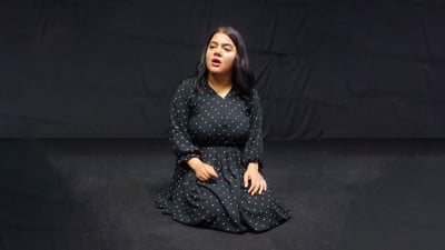 شانۆی باخچەی بێوەژنەکان نمایش دەکرێت