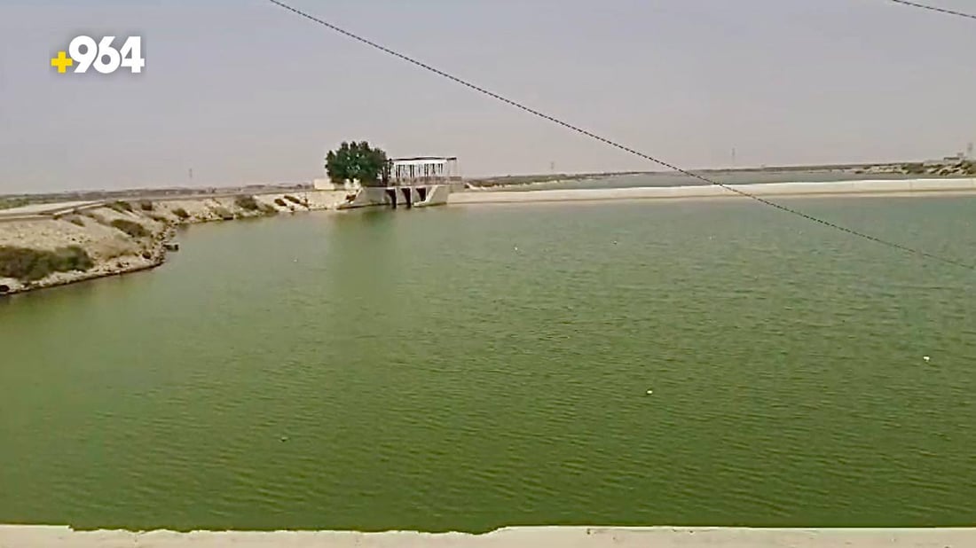 صور من البصرة: مياه السويب لا تصلح حتى للمواشي.. الجزر يأتي ملوثاً من شط العرب